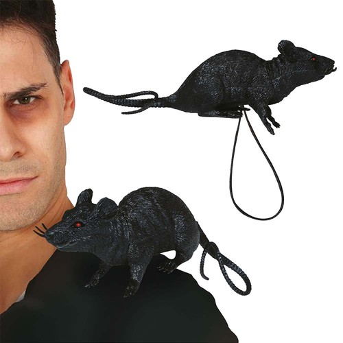 Ratte schwarz mit