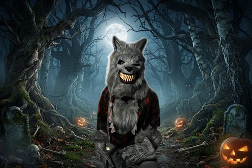 Halloween kostüm werwolf mit - werwolf,